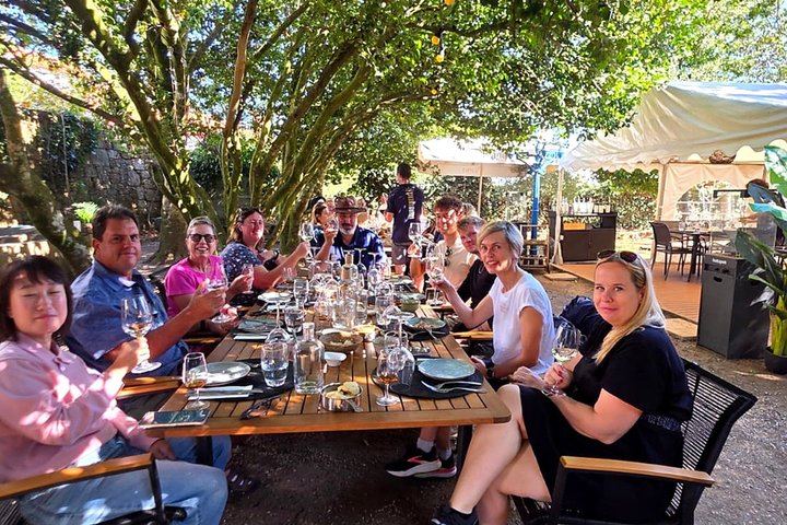 Douro Valley Boutique Wineries Day Trip from Porto: Family Producers, 8 Per Vehicle (4/12)