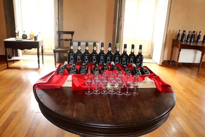 Douro Valley Boutique Wineries Day Trip from Porto: Family Producers, 8 Per Vehicle (7/12)