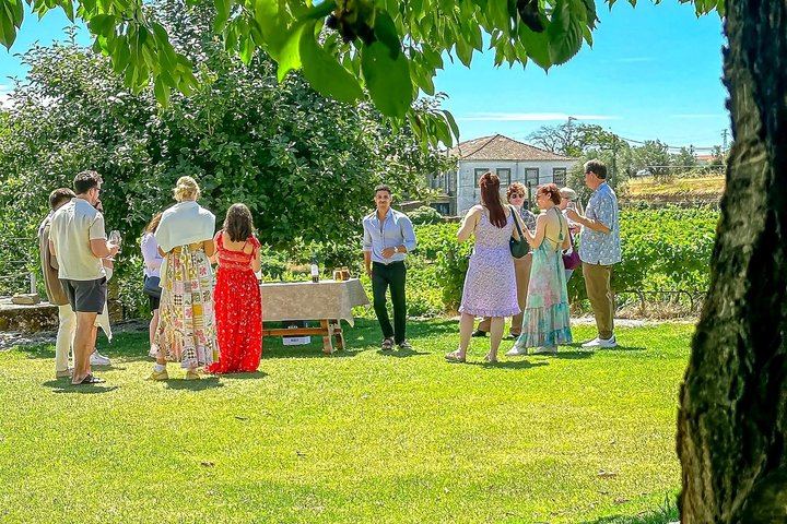 Douro Valley Boutique Wineries Day Trip from Porto: Family Producers, 8 Per Vehicle (5/12)