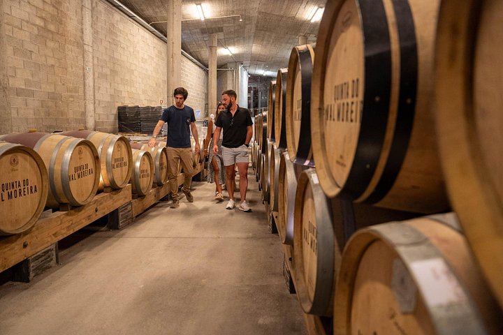 Douro Valley Premium Day Trip from Porto: Estate Lunch, Two Tastings, River Cruise (9/12)