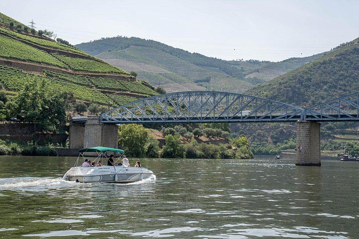 Douro Valley Premium Day Trip from Porto: Estate Lunch, Two Tastings, River Cruise (6/12)