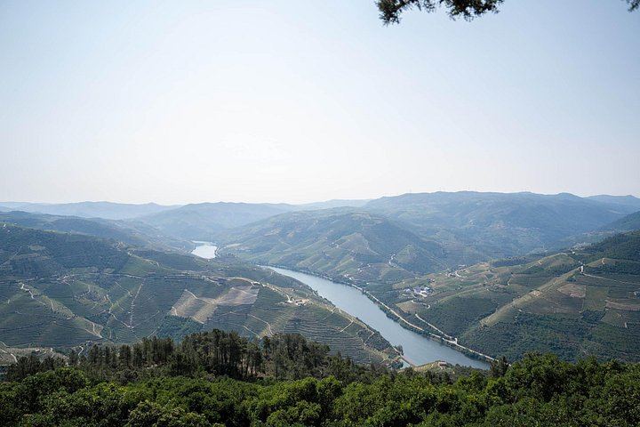 Douro Valley Premium Day Trip from Porto: Estate Lunch, Two Tastings, River Cruise (10/12)