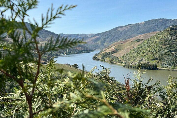Douro Valley 10-Hour Small Group from Porto: Amarante, Quinta do Seixo, Rabelo Cruise (10/12)