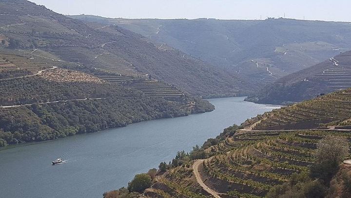 Douro Valley Day Tour from Porto: Amarante, Sabrosa, Rabelo Boat, Wine Tasting, Lunch (4/12)