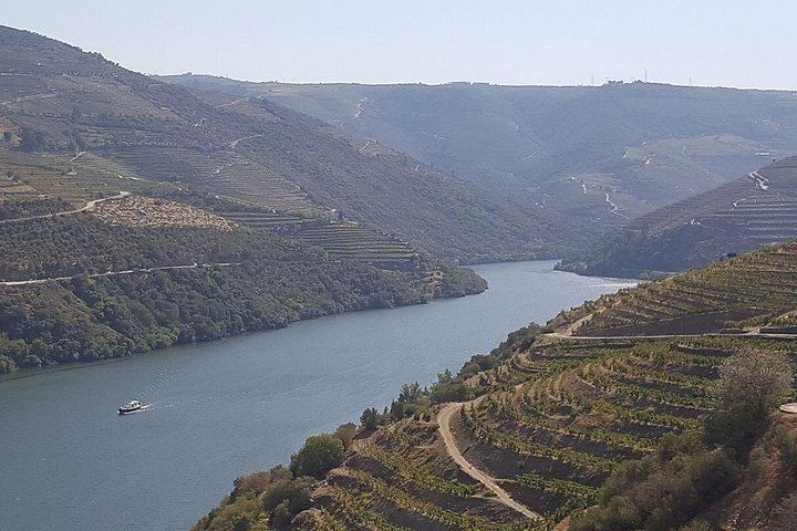 Douro Valley Day Tour from Porto: Amarante, Sabrosa, Rabelo Boat, Wine Tasting, Lunch (4/12)