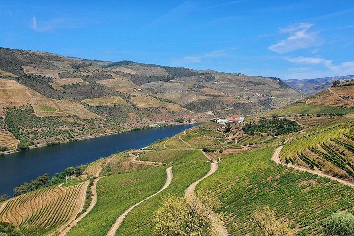 Douro Valley Day Tour from Porto: Amarante, Sabrosa, Rabelo Boat, Wine Tasting, Lunch (10/12)