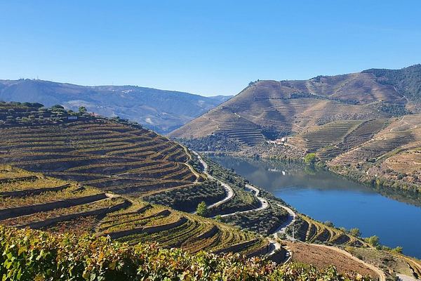Douro Valley Day Tour from Porto: Amarante, Sabrosa, Rabelo Boat, Wine Tasting, Lunch