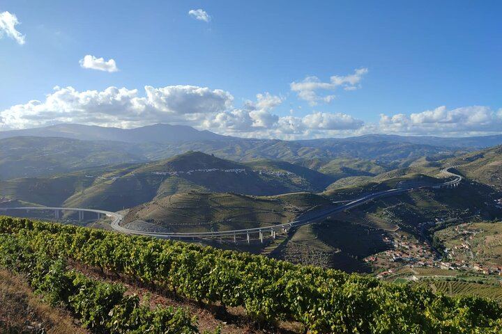 Douro Family Quintas Day Trip for Six: Galafura Viewpoint, Sabrosa Lunch, Rabelo Boat (8/12)