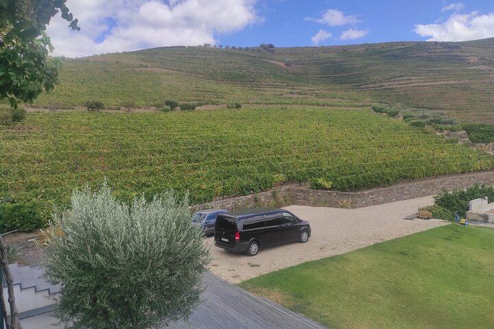 Douro Family Quintas Day Trip for Six: Galafura Viewpoint, Sabrosa Lunch, Rabelo Boat (7/12)