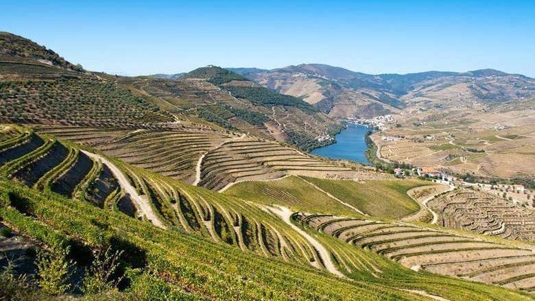 Douro Valley Wine Tour from Porto, 6.5 or 10 Hours: Boat Cruise or Pinhao Lunch (1/12)