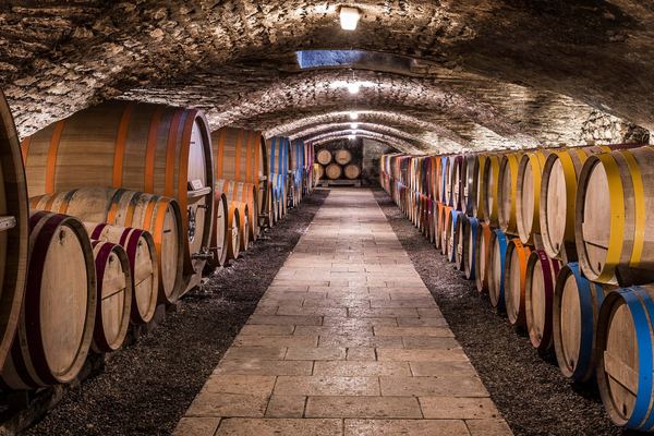 Douro Valley Wine Tour from Porto, 6.5 or 10 Hours: Boat Cruise or Pinhao Lunch