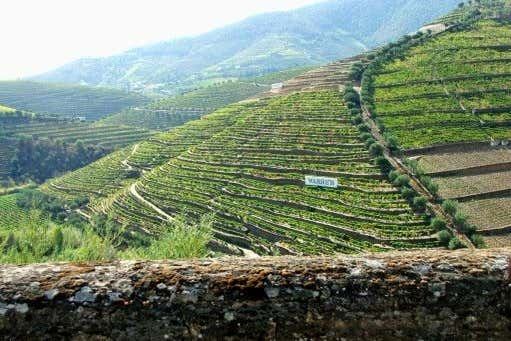 Douro Valley Wine Tour from Porto, 6.5 or 10 Hours: Boat Cruise or Pinhao Lunch (6/12)