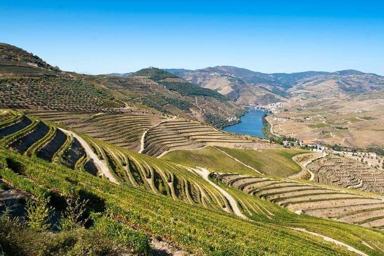 Douro Valley Wine Tour from Porto, 6.5 or 10 Hours: Boat Cruise or Pinhao Lunch (1/12)