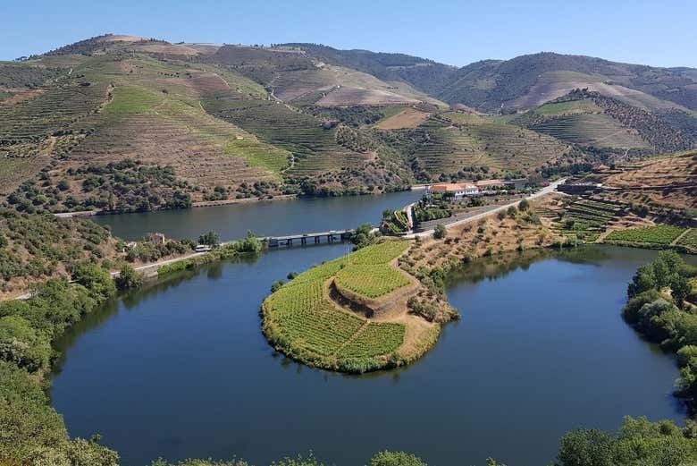 Douro Valley Wine Tour from Porto, 6.5 or 10 Hours: Boat Cruise or Pinhao Lunch (9/12)