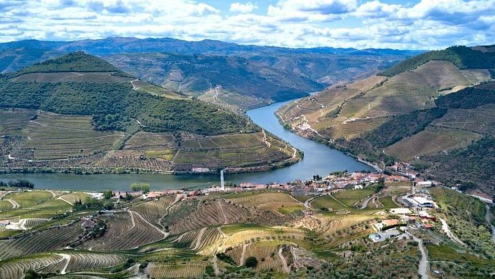 Douro Valley Small Group Day Trip from Porto: Two Wineries, Lunch and Pinhão Cruise (3/12)