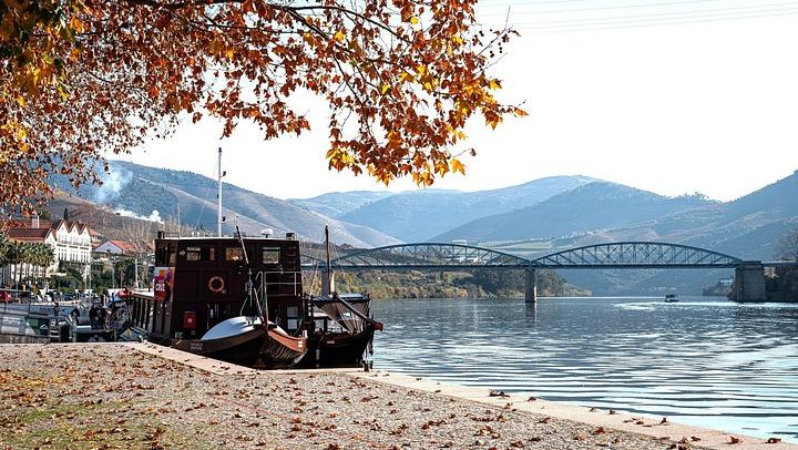 Private Douro Tour with Accredited Guide: Boutique Winery and Pinhão Lunch Stop (2/12)
