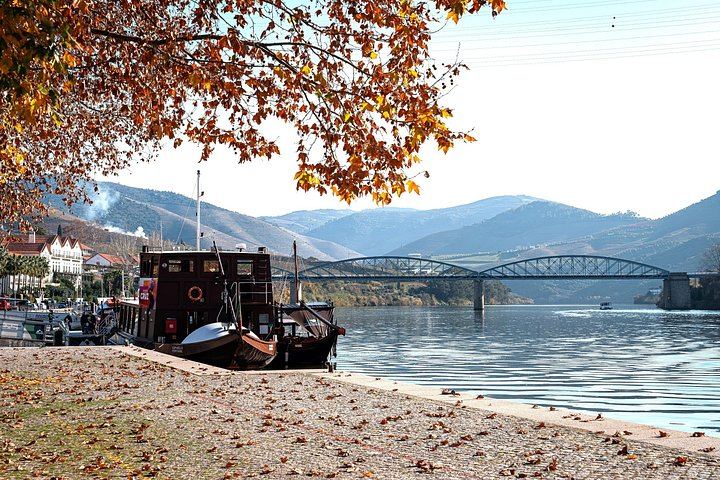 Private Douro Tour with Accredited Guide: Boutique Winery and Pinhão Lunch Stop (2/12)