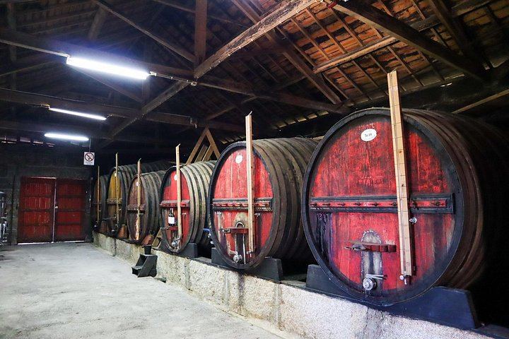 Private Douro Tour with Accredited Guide: Boutique Winery and Pinhão Lunch Stop (6/12)