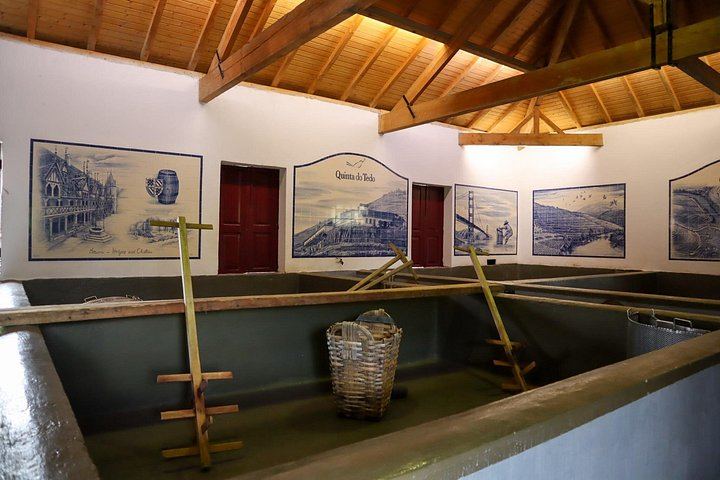 Private Douro Tour with Accredited Guide: Boutique Winery and Pinhão Lunch Stop (11/12)