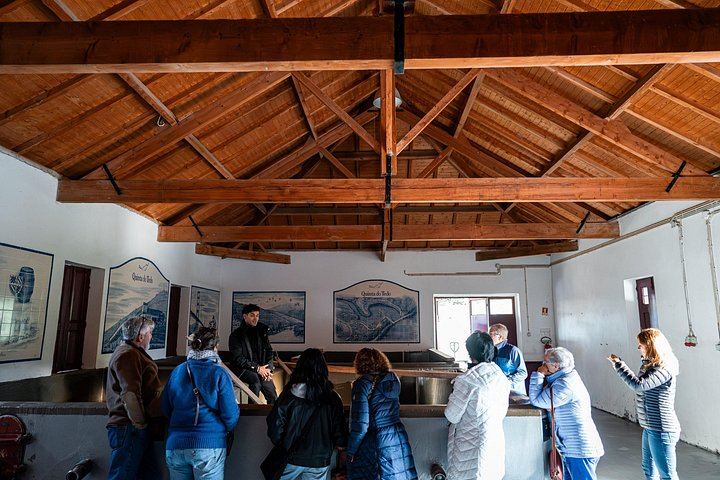 Private Douro Tour with Accredited Guide: Boutique Winery and Pinhão Lunch Stop (10/12)