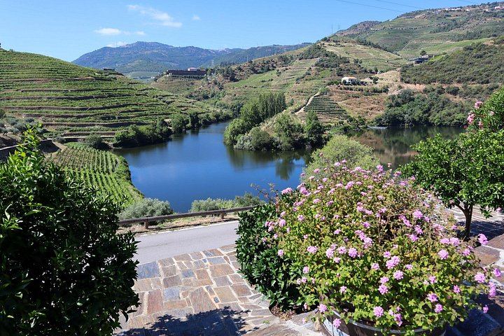 Private Douro Tour with Accredited Guide: Boutique Winery and Pinhão Lunch Stop (9/12)