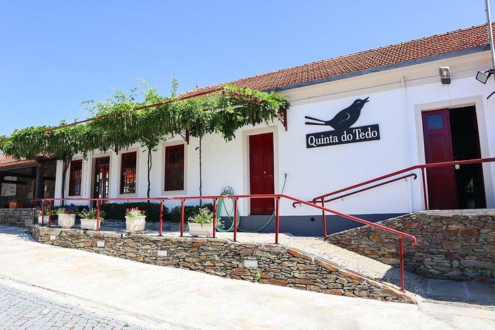 Private Douro Tour with Accredited Guide: Boutique Winery and Pinhão Lunch Stop (8/12)