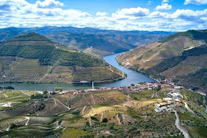 Douro Valley Small Group Day Trip from Porto: Two Wineries, Lunch and Pinhão Cruise (3/12)