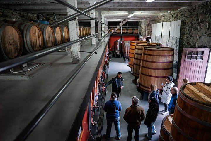 Douro Valley Small Group Day Trip from Porto: Two Wineries, Lunch and Pinhão Cruise (9/12)