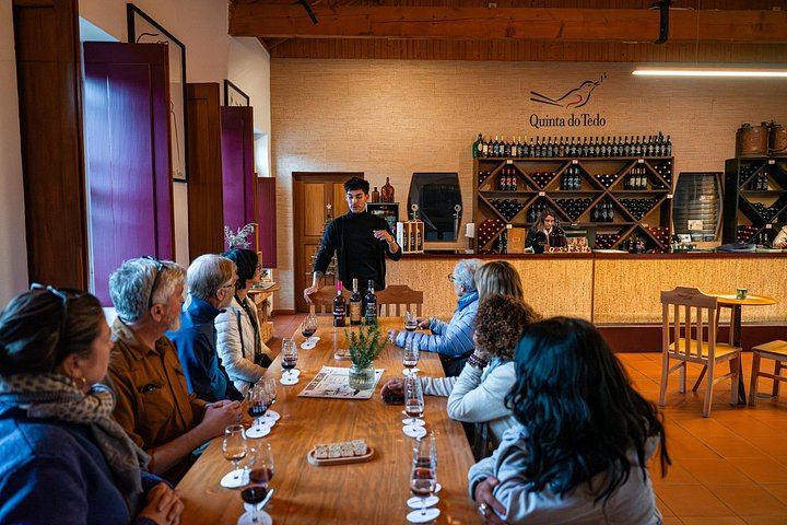 Douro Valley Small Group Day Trip from Porto: Two Wineries, Lunch and Pinhão Cruise (12/12)
