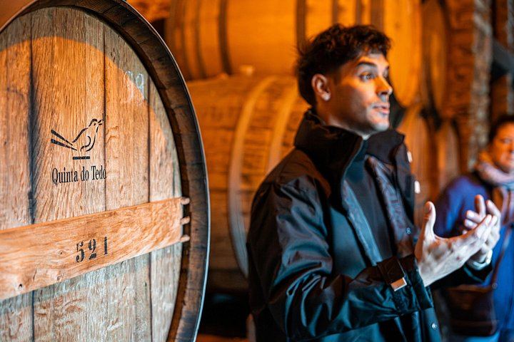 Douro Valley Small Group Day Trip from Porto: Two Wineries, Lunch and Pinhão Cruise (7/12)