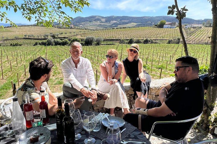 Small-Group Douro Wine Tour, Max 7: Quinta da Roeda, Manor House Lunch, Pinhão Boat (9/10)