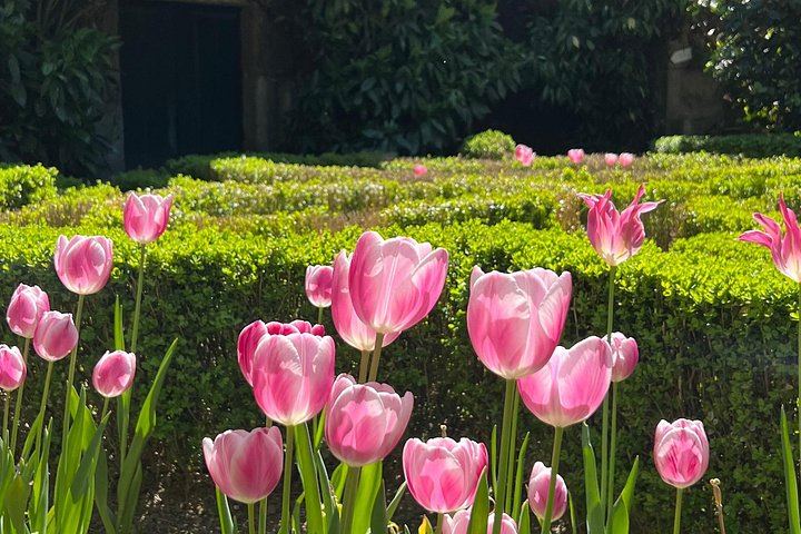 Small-Group Douro Wine Tour, Max 7: Quinta da Roeda, Manor House Lunch, Pinhão Boat (2/10)