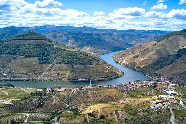 Private Douro Tour with Accredited Guide: Boutique Winery and Pinhão Lunch Stop