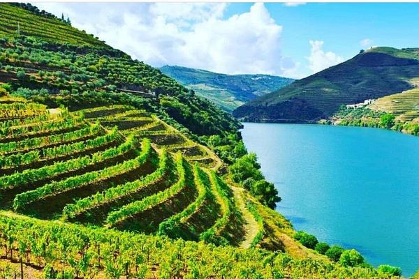 Customizable Private Douro Food and Wine Tour from Porto: Choose Villages, Cellars, Lunch
