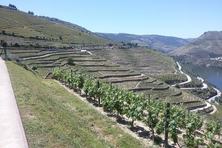 Private Premium Douro Tour, Mercedes E Class, 1 to 4 People (10/12)