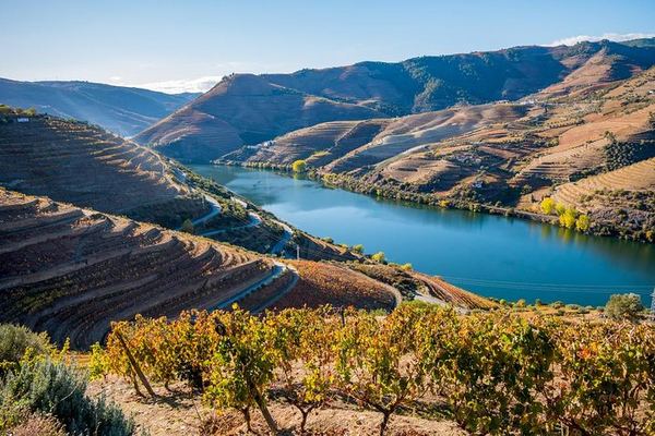 Private 9-Hour Douro Tour: Amarante, Galafura, Rabelo Cruise, Lunch and Estate Tasting