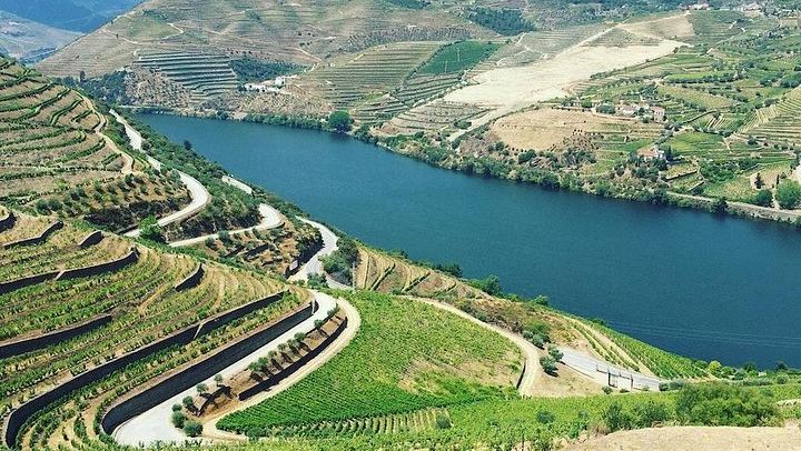 Customizable Private Douro Food and Wine Tour from Porto: Choose Villages, Cellars, Lunch (4/12)