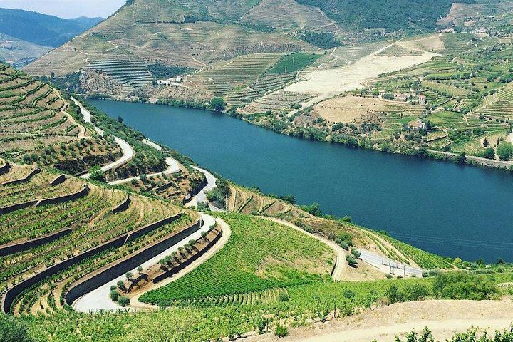 Customizable Private Douro Food and Wine Tour from Porto: Choose Villages, Cellars, Lunch (4/12)