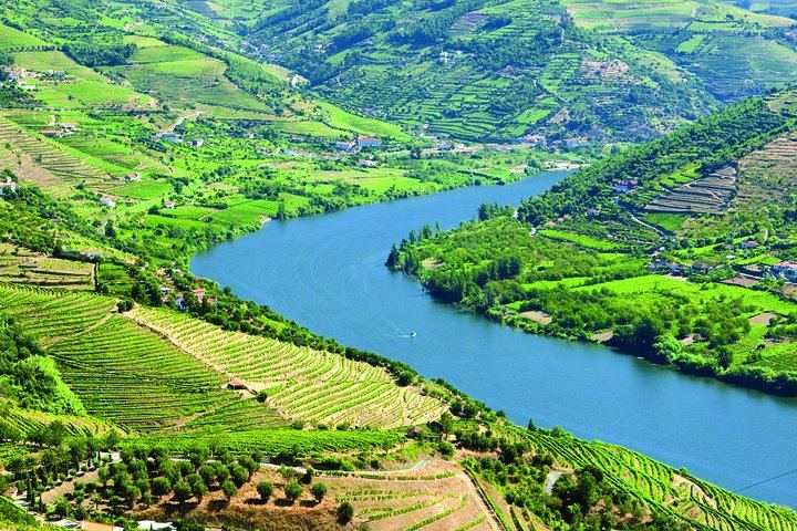 Douro Valley 10-Hour Small Group from Porto: Amarante, Quinta do Seixo, Rabelo Cruise (2/12)