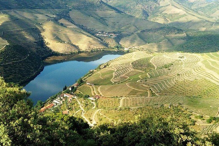 Private Douro Valley Port Wine Tour with Pinhao Tasting, Viewpoints and Tavern Lunch (7/12)