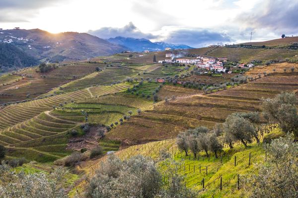 Private Douro Valley Wine Tours