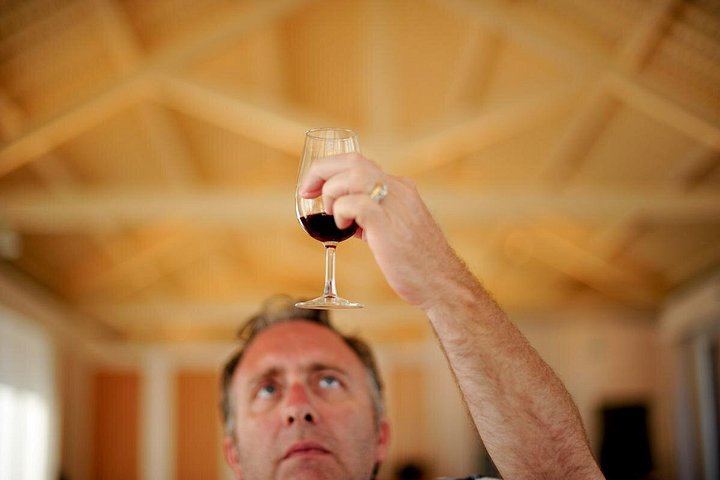 Private Off-the-Beaten-Path Douro Valley Wine Tour from Porto, Winery Lunch Stop (10/12)