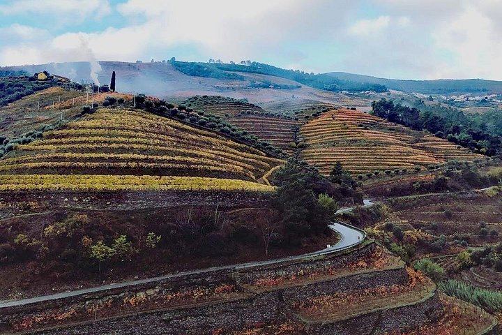 Private Full-Day Douro Valley Wine Tour from Lisbon with Driver, N222 Road and Winery Stop (5/12)