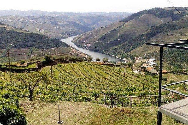 Private Full-Day Douro Valley Wine Tour from Lisbon with Driver, N222 Road and Winery Stop (6/12)