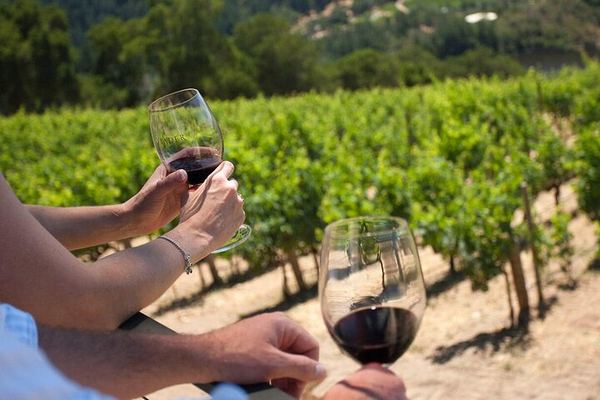 Quiet Private Chianti Classico Tasting at Two Family Wineries with a Local-Born Guide