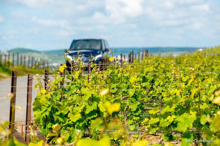 Full-Day Champagne Tour: Mumm Cellars in Reims, Winery Lunch, Hautvillers, Family Grower (12/12)