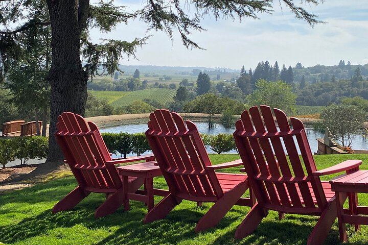Sonoma County Group Wine Tasting Tour: Three Small Wineries and Charcuterie Box (6/8)