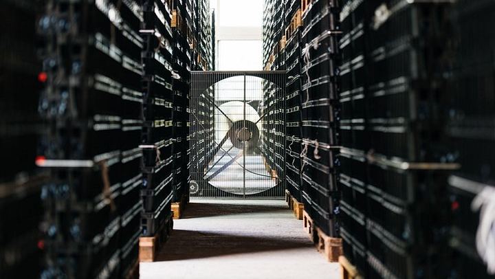 Buglioni Winery Visit and 5-Course Lunch or Dinner with Amarone, Valpolicella (4/5)