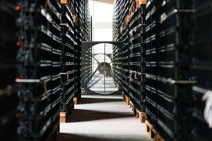 Buglioni Winery Visit and 5-Course Lunch or Dinner with Amarone, Valpolicella (4/5)