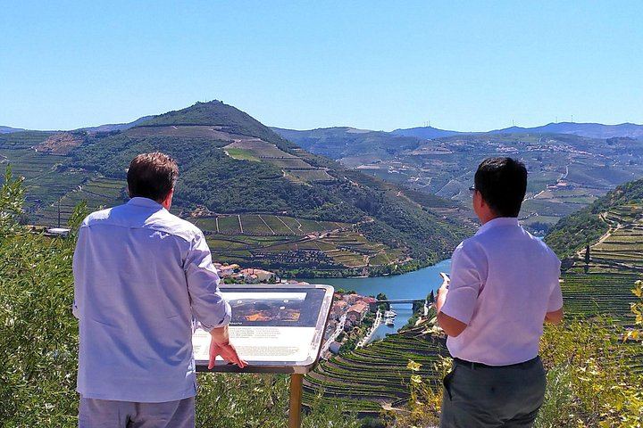 Douro Valley Mercedes Van Day Trip from Porto: Two Family Wineries and Boat Cocktail (11/12)